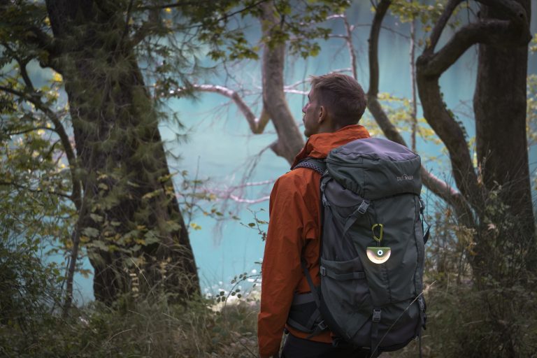 With Light, Into the Wild